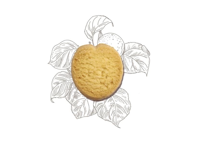 Biscuit Apricot 200 pcs – 1250g – Monoportion