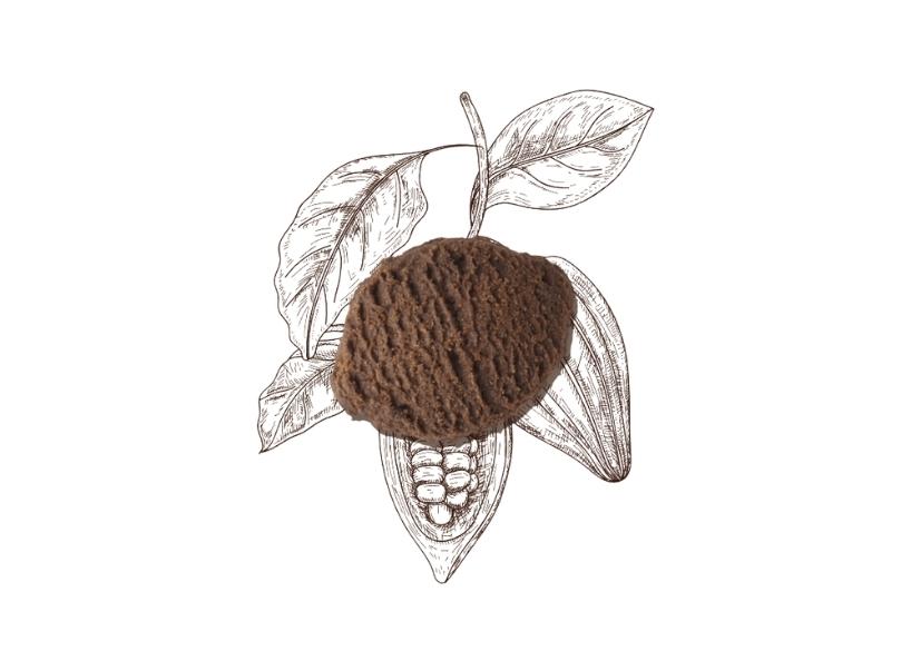 Biscotti Cacao Monoporzione (200 pz) 1250g