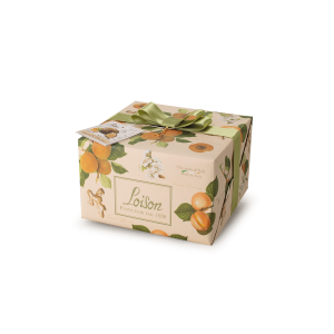 Panettone Apricot & Ginger - Loison
